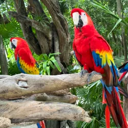 Xcaret Park - Playa del Carmen
