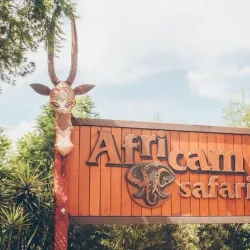 Africam Safari - Puebla