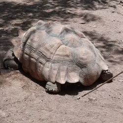 Africam Safari - Puebla