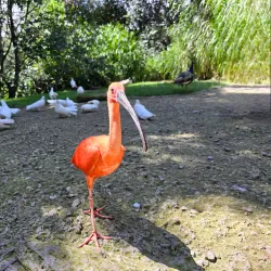 Parque Ecológico Revolución Mexicana - Puebla