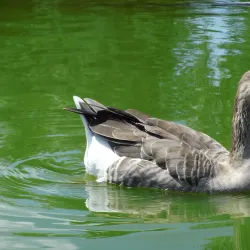 Parque Ecológico Revolución Mexicana - Puebla