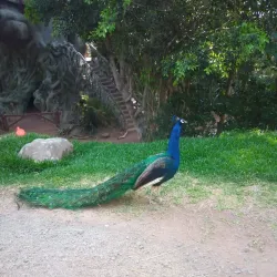 Parque Ecológico Revolución Mexicana - Puebla