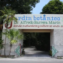 Botanical Garden Dr. Alfredo Barrera Marín - Puerto Morelos