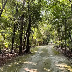 Botanical Garden Dr. Alfredo Barrera Marín - Puerto Morelos