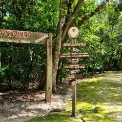 Botanical Garden Dr. Alfredo Barrera Marín - Puerto Morelos