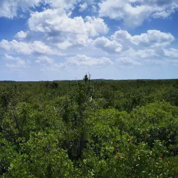 Botanical Garden Dr. Alfredo Barrera Marín - Puerto Morelos