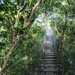 Botanical Garden Dr. Alfredo Barrera Marín - Puerto Morelos