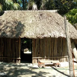 Botanical Garden Dr. Alfredo Barrera Marín - Puerto Morelos
