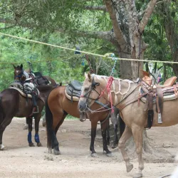 Cenote La Noria - Puerto Morelos