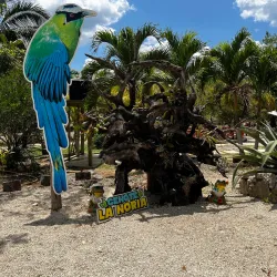 Cenote La Noria - Puerto Morelos