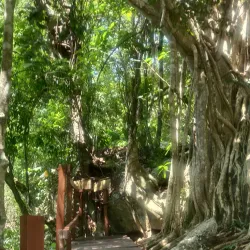 Cenote Verde Lucero - Puerto Morelos