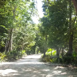 Cenote Verde Lucero - Puerto Morelos