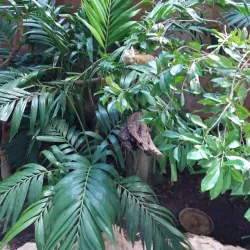 Croco Cun Zoo - Puerto Morelos