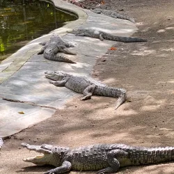 Croco Cun Zoo - Puerto Morelos