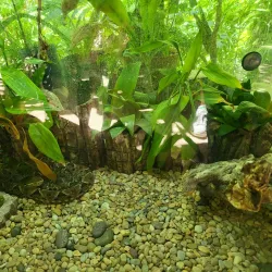 Croco Cun Zoo - Puerto Morelos