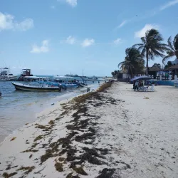 Local Artisan Market - Puerto Morelos