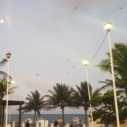 Local Artisan Market - Puerto Morelos