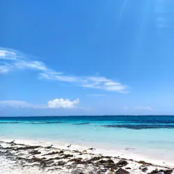 Playa Puerto Morelos - Puerto Morelos