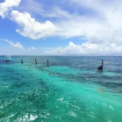 Playa Puerto Morelos - Puerto Morelos
