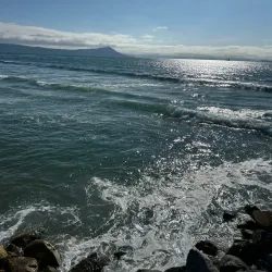 Cactus Beach - Puerto Penasco