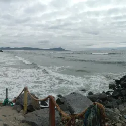 Cactus Beach - Puerto Penasco
