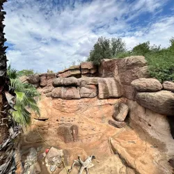 Desert Museum (Museo Desierto de Sonora) - Puerto Penasco