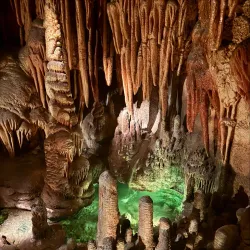 Desert Museum (Museo Desierto de Sonora) - Puerto Penasco