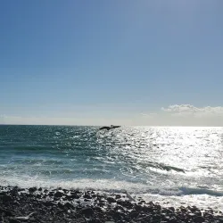 El Malecón - Puerto Penasco