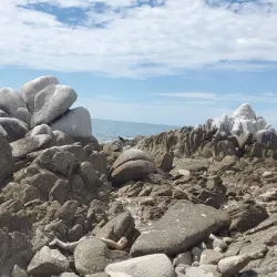 Isla San Jorge - Puerto Penasco