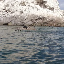 Isla San Jorge - Puerto Penasco