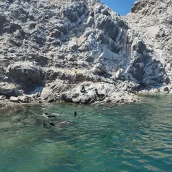 Isla San Jorge - Puerto Penasco