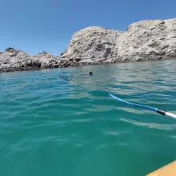 Isla San Jorge - Puerto Penasco