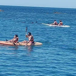 Isla San Jorge - Puerto Penasco
