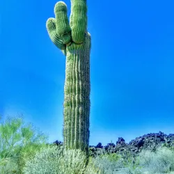 Pinacate Biosphere Reserve - Puerto Penasco