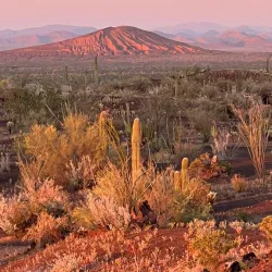 Pinacate Biosphere Reserve - Puerto Penasco