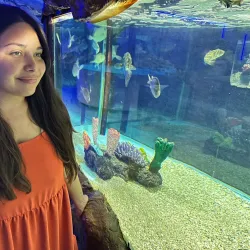 Puerto Peñasco Aquarium (Acuario de Puerto Peñasco) - Puerto Penasco
