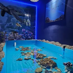 Puerto Peñasco Aquarium (Acuario de Puerto Peñasco) - Puerto Penasco