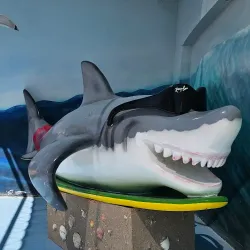 Puerto Peñasco Aquarium (Acuario de Puerto Peñasco) - Puerto Penasco