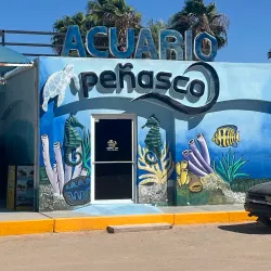 Puerto Peñasco Aquarium (Acuario de Puerto Peñasco) - Puerto Penasco
