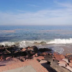 El Centro (Downtown Puerto Vallarta) - Puerto Vallarta