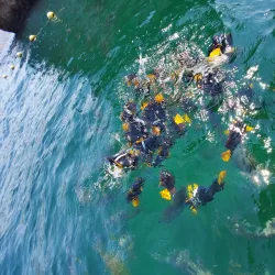 Los Arcos Marine Park - Puerto Vallarta