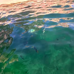 Los Arcos Marine Park - Puerto Vallarta