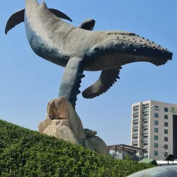 Marina Vallarta - Puerto Vallarta