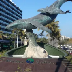 Marina Vallarta - Puerto Vallarta