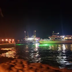 Rhythms of the Night - Puerto Vallarta