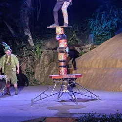 Rhythms of the Night - Puerto Vallarta