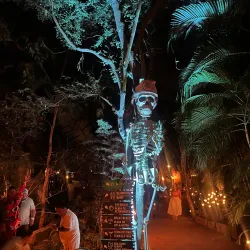 Rhythms of the Night - Puerto Vallarta