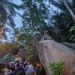 Rhythms of the Night - Puerto Vallarta