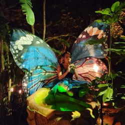 Rhythms of the Night - Puerto Vallarta