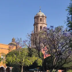 Jardín Zenea - Queretaro (Santiago de Querétaro)